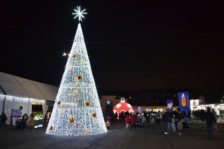 Imagen Mejorada del Campo se viste de Navidad