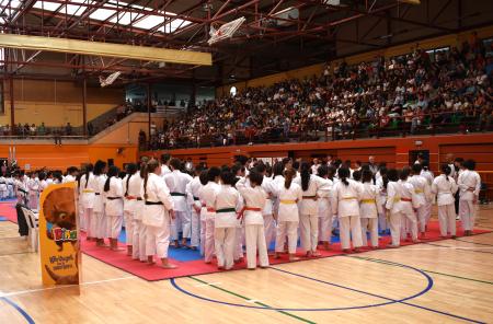 Imagen Gran éxito de participación en el Campeonato de Karate 